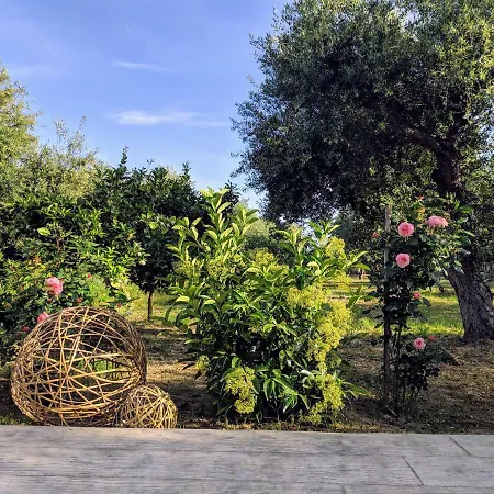 Casa Di Porto Roma 公寓 *